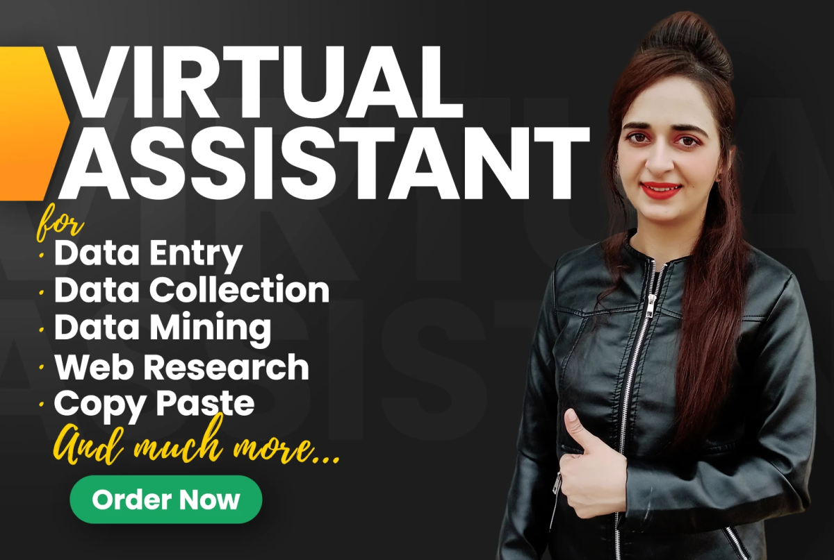 be your virtual assistant for data entry and web research