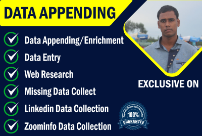 do data appending enrichment and data entry